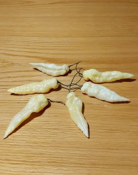 white bhut jolokia jw10